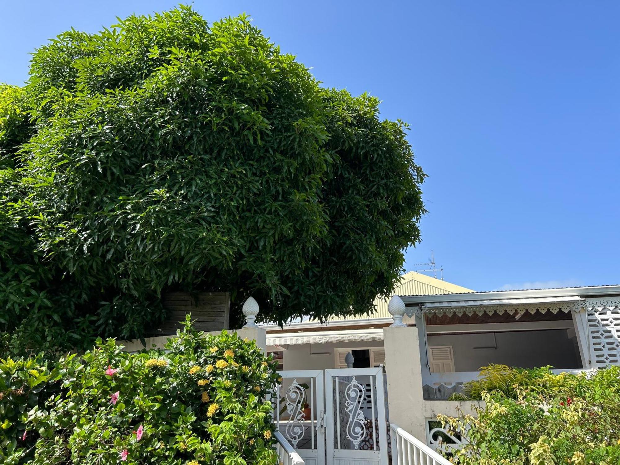Villa à louer à Sainte-Anne en Martinique Exterior foto